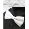  Fluture. Photo 1