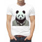  Tricou bărbați Koala într-o jachetă. Photo 1